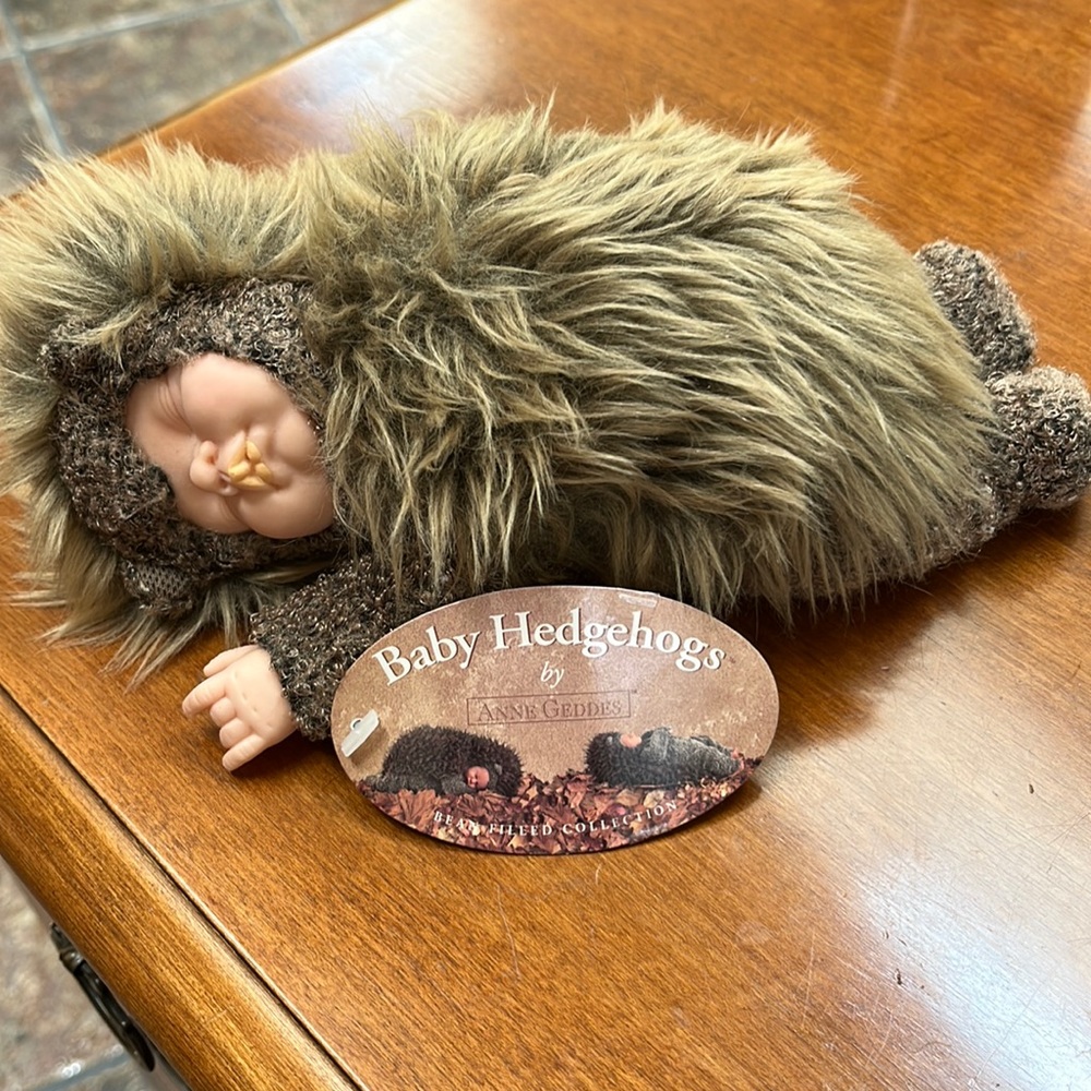 Baby Hedgehog by ANNE GEDDES